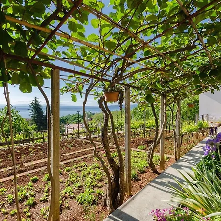 Апартаменты Ilinka *